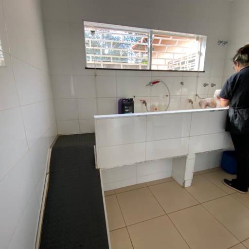 Banho, tosa, grooming, higiene e embelezamento  em Botucatu, SP por Vila Chico