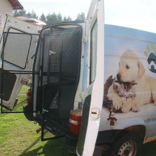 Comprar o produto de Taxi Dog em Animais pela empresa Vila Chico em Botucatu, SP por Solutudo