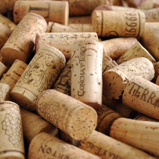 Vinhos por Zé do Queijo Vinhos por Zé do Queijo