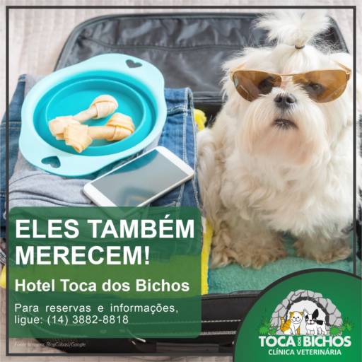 Hotel para Cães por Toca dos Bichos