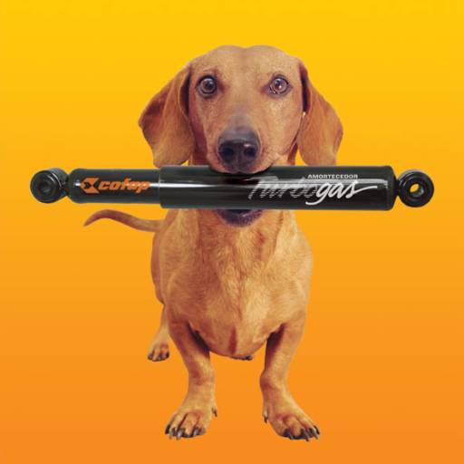 Amortecedor por MI Auto Peças