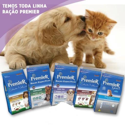 Comprar o produto de Ração Premier em Cachorros pela empresa Ponto Pet (Loja 1) em Bauru, SP por Solutudo