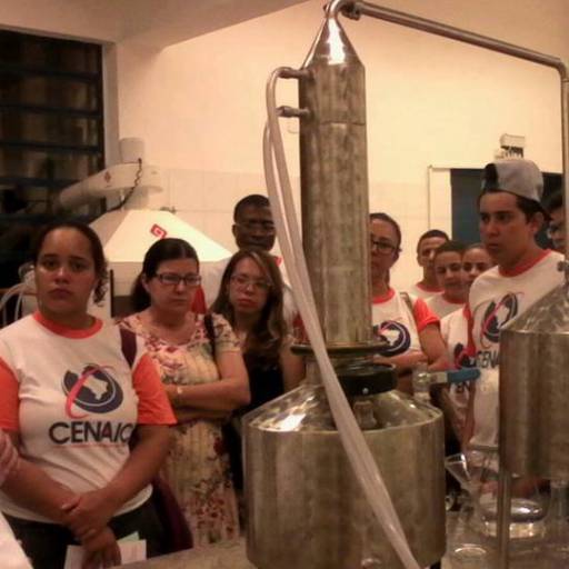CURSO DE AÇÚCAR E ÁLCOOL E BIOENERGIA por Cenarium Cursos