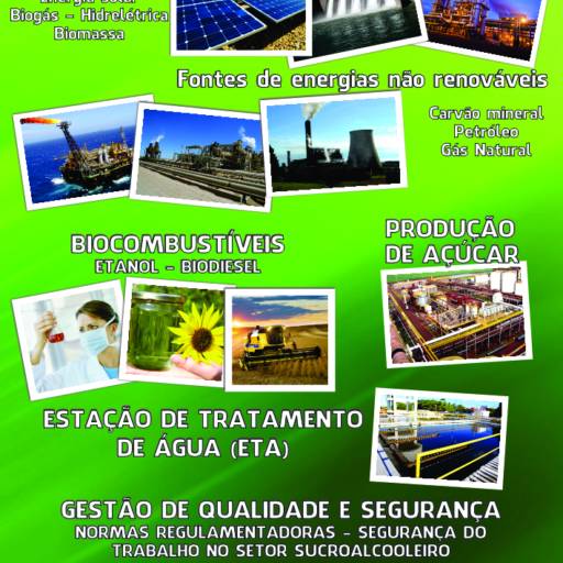 CURSO DE AÇÚCAR E ÁLCOOL E BIOENERGIA por Cenarium Cursos
