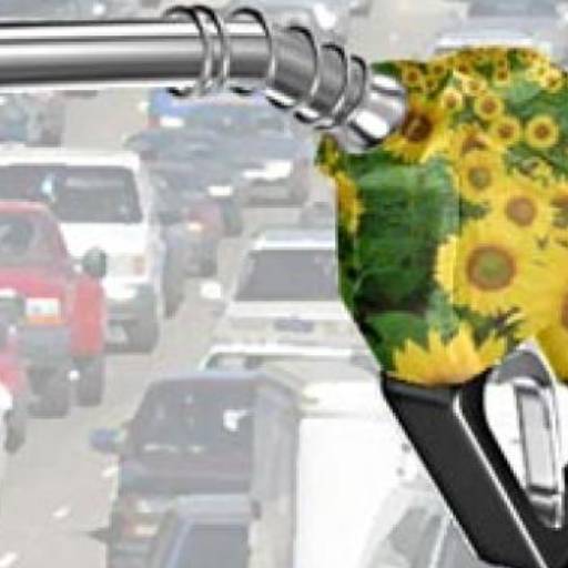 CURSO DE AÇÚCAR E ÁLCOOL E BIOENERGIA por Cenarium Cursos