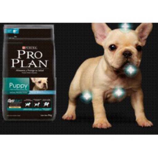 Comprar o produto de Ração Proplan Puppy 2kg em Ração para Cachorros pela empresa Bichos e Rabichos em Botucatu, SP por Solutudo