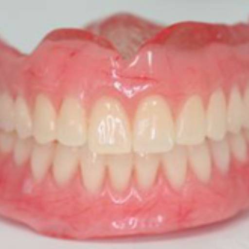 Prótese Total Removível