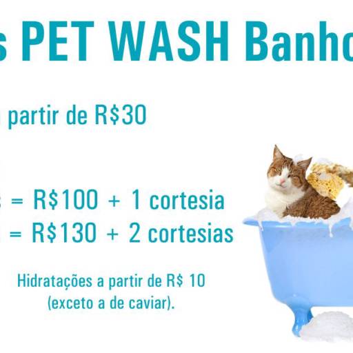 Comprar o produto de Pacotes Banho e Tosa em Outros Serviços pela empresa Pet Wash Banho E Tosa em Valinhos, SP por Solutudo