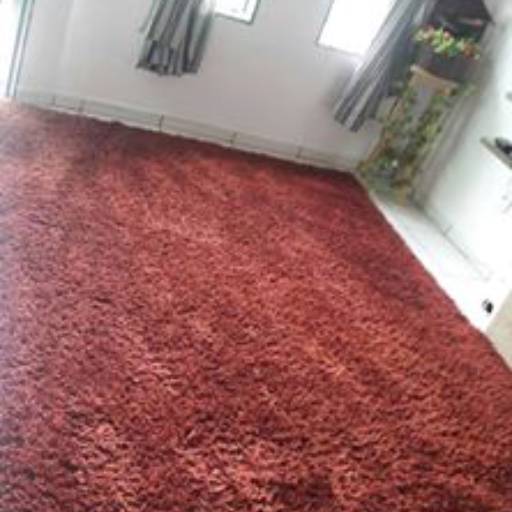 Lavagem de tapetes à domicilio por Adriana Camargo Lavagem a Seco