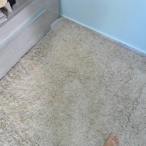 Lavagem de tapetes à domicilio por Adriana Camargo Lavagem a Seco