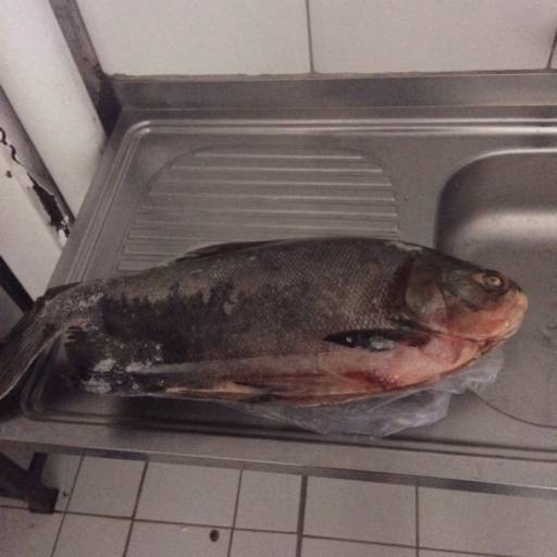 Peixaria Donnini em Avaré