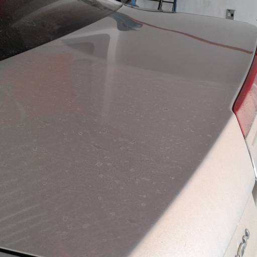 Lavagem a seco por Eco Lavagem Lotus