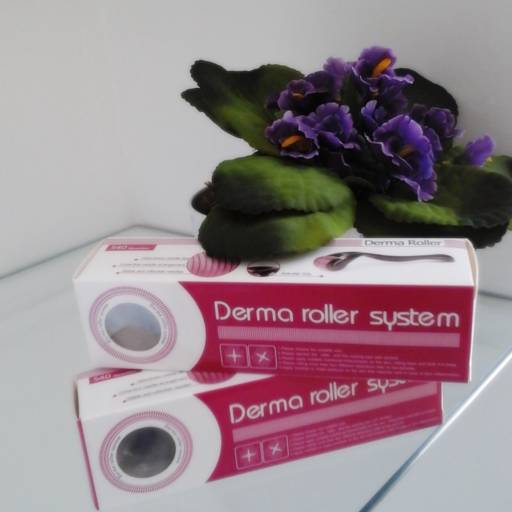APARELHO DERMAROLLER 1MM por Vetthá - Produtos para Estética