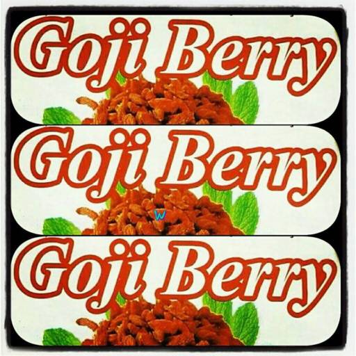 Goji Berry por Goji Berry Produtos Naturais