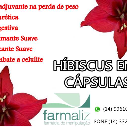 Comprar o produto de hibiscus em cápsulas em Outros pela empresa Farmaliz - Farmácia de Manipulação em Ourinhos, SP por Solutudo