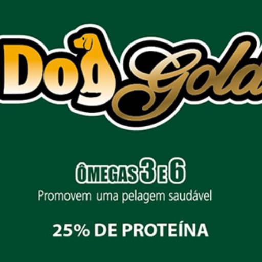 Special Dog Gold por Amigão Pet Shop