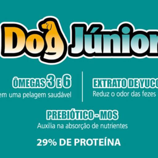 Special Dog Junior por Amigão Pet Shop