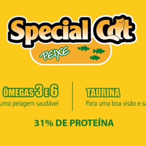 Special Cat Peixe por Amigão Pet Shop