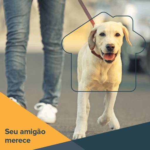 Dog Walker / Pet Sitter por Maria Brasileira