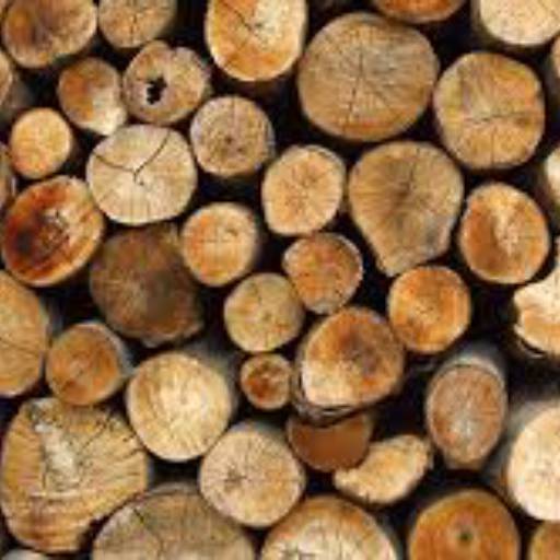Cadastro de consumidores de lenha/madeira (Projeto de plantio próprio) em Avaré e Região por Arbora Consultoria e Gestão Ambiental 
