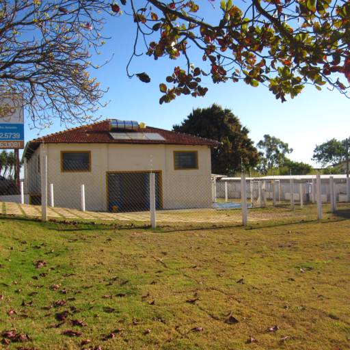 Banho e Tosa em Avaré por Clínica Veterinária Gato.Cão Avaré