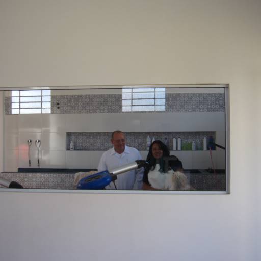 Banho e Tosa em Avaré por Clínica Veterinária Gato.Cão Avaré