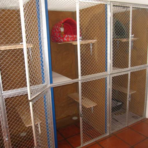 Hospedagem para cães e gatos em Avaré