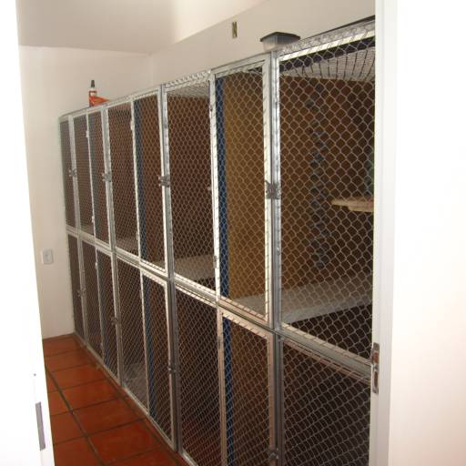 Hospedagem para cães e gatos em Avaré por Clínica Veterinária Gato.Cão Avaré