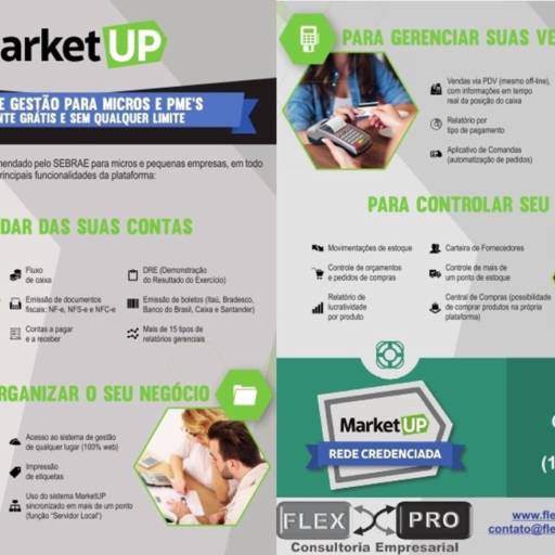 Sistema de Gestão MarketUP por FlexPro Consultoria Empresarial 