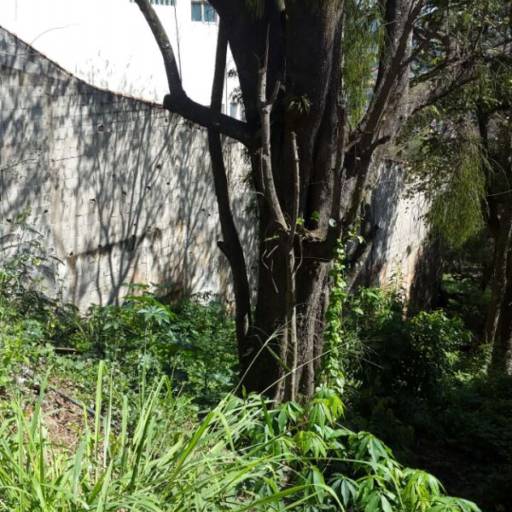 Excelente terreno em São Roque / Código do Imóvel: 26145 por Aj Rodrigues Negocios Imobiliarios Ltda