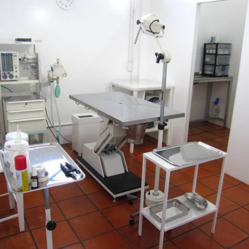 Clínica Veterinária Gato.Cão por Clínica Veterinária Gato.Cão Avaré