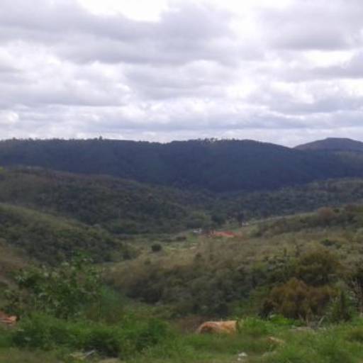 Moradia ou investimento / Código do Imóvel: 26455 por Aj Rodrigues Negocios Imobiliarios Ltda