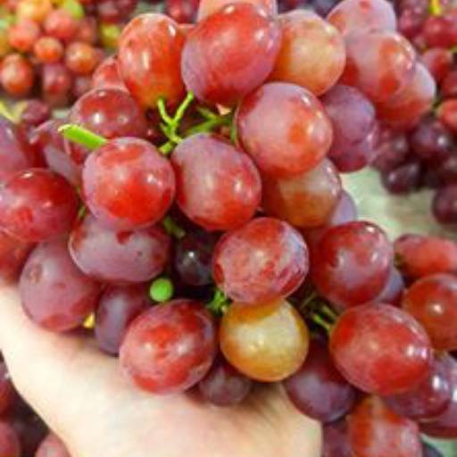 Uvas Benitaka