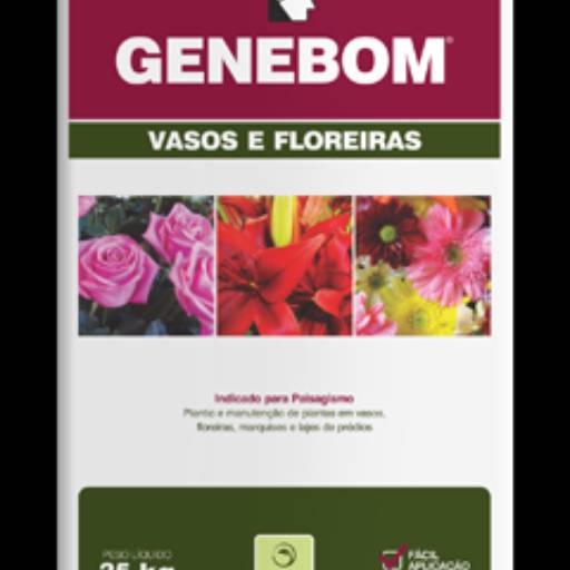 Terra Vegetal por Agro Oliveira