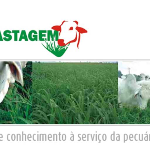 Comprar o produto de FH Pastagem em Outros pela empresa Agro Oliveira em Assis, SP por Solutudo