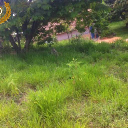 Ideal para sua chácara / Código do Imóvel: 26999 por Aj Rodrigues Negocios Imobiliarios Ltda