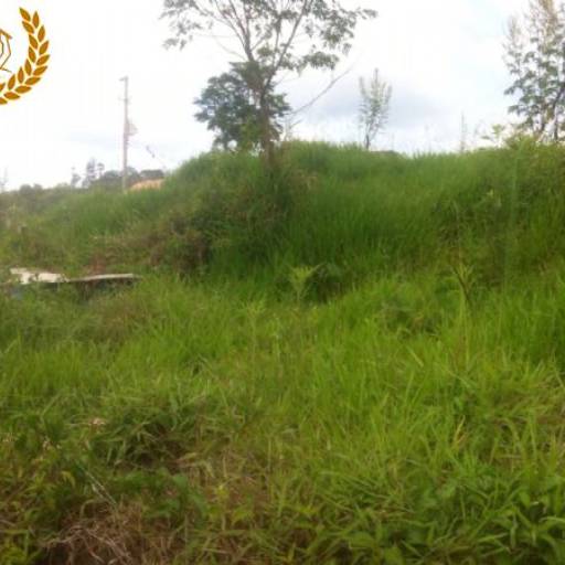 Ideal para sua chácara / Código do Imóvel: 26999 por Aj Rodrigues Negocios Imobiliarios Ltda