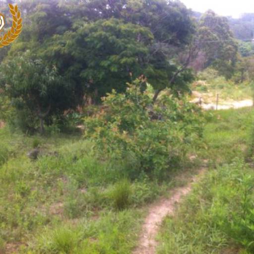 Ideal para sua chácara / Código do Imóvel: 26999 por Aj Rodrigues Negocios Imobiliarios Ltda