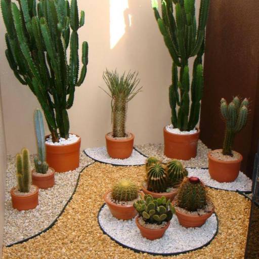 Jardim de inverno  por Flora Camila Paisagismo