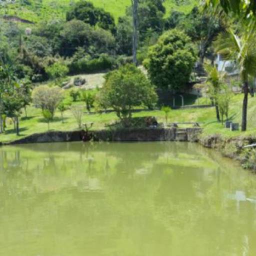 Sítio com água abundante Taxaquara SR ! / Código do Imóvel: 27148 por Aj Rodrigues Negocios Imobiliarios Ltda