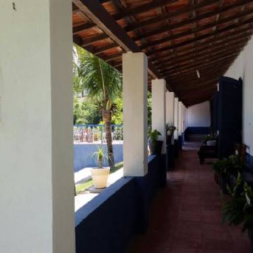 Sítio com água abundante Taxaquara SR ! / Código do Imóvel: 27148 por Aj Rodrigues Negocios Imobiliarios Ltda