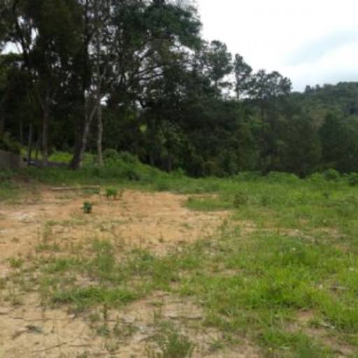 Roteiro do Vinho São Roque -SP / Código do Imóvel: 27206 por Aj Rodrigues Negocios Imobiliarios Ltda