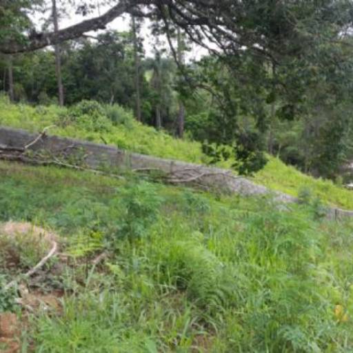 Roteiro do Vinho São Roque -SP / Código do Imóvel: 27206 por Aj Rodrigues Negocios Imobiliarios Ltda