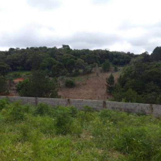 Roteiro do Vinho São Roque -SP / Código do Imóvel: 27206 por Aj Rodrigues Negocios Imobiliarios Ltda