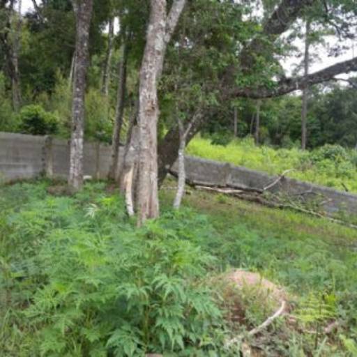 Roteiro do Vinho São Roque -SP / Código do Imóvel: 27206 por Aj Rodrigues Negocios Imobiliarios Ltda