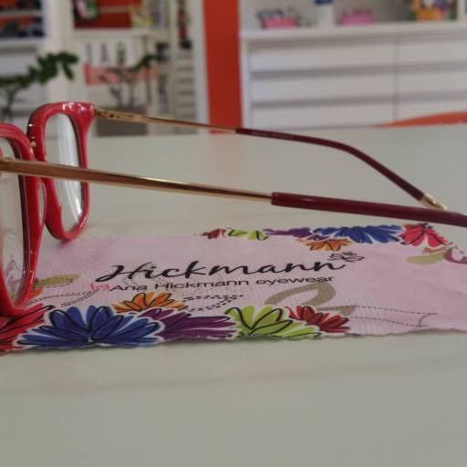 Hickmann 6041 por Ótica Foco