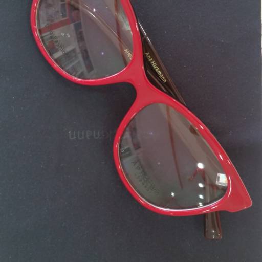 Ana Hickmann 6248 por Ótica Foco