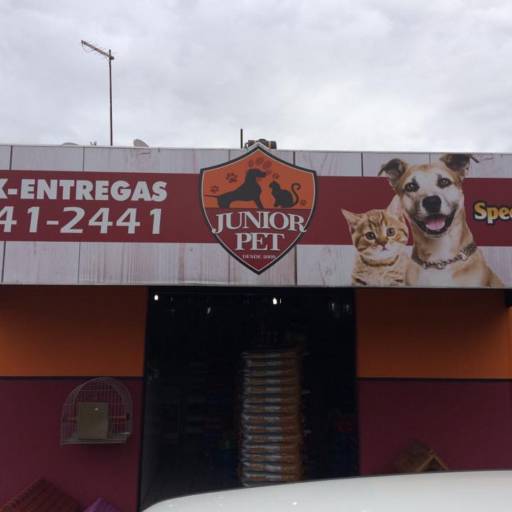 Comprar o produto de Junior Pet em Outros Serviços pela empresa Junior Pet em São Manuel, SP por Solutudo