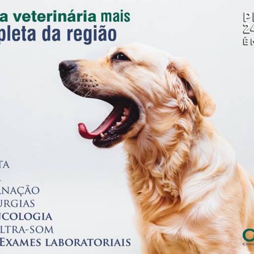 Cão e Cia por HosVet Pet - Hospital Veterinário