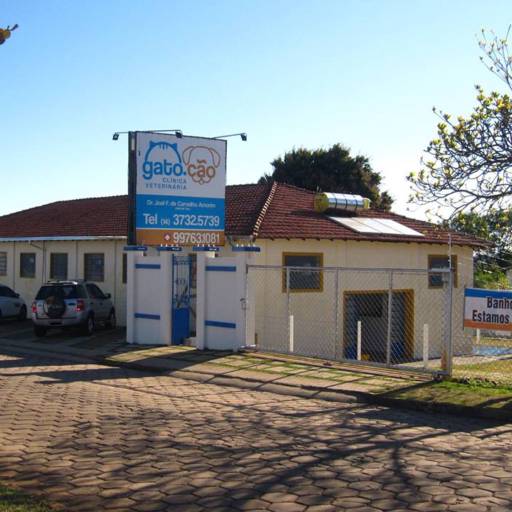 Hotel para cães em Avaré por Clínica Veterinária Gato.Cão Avaré